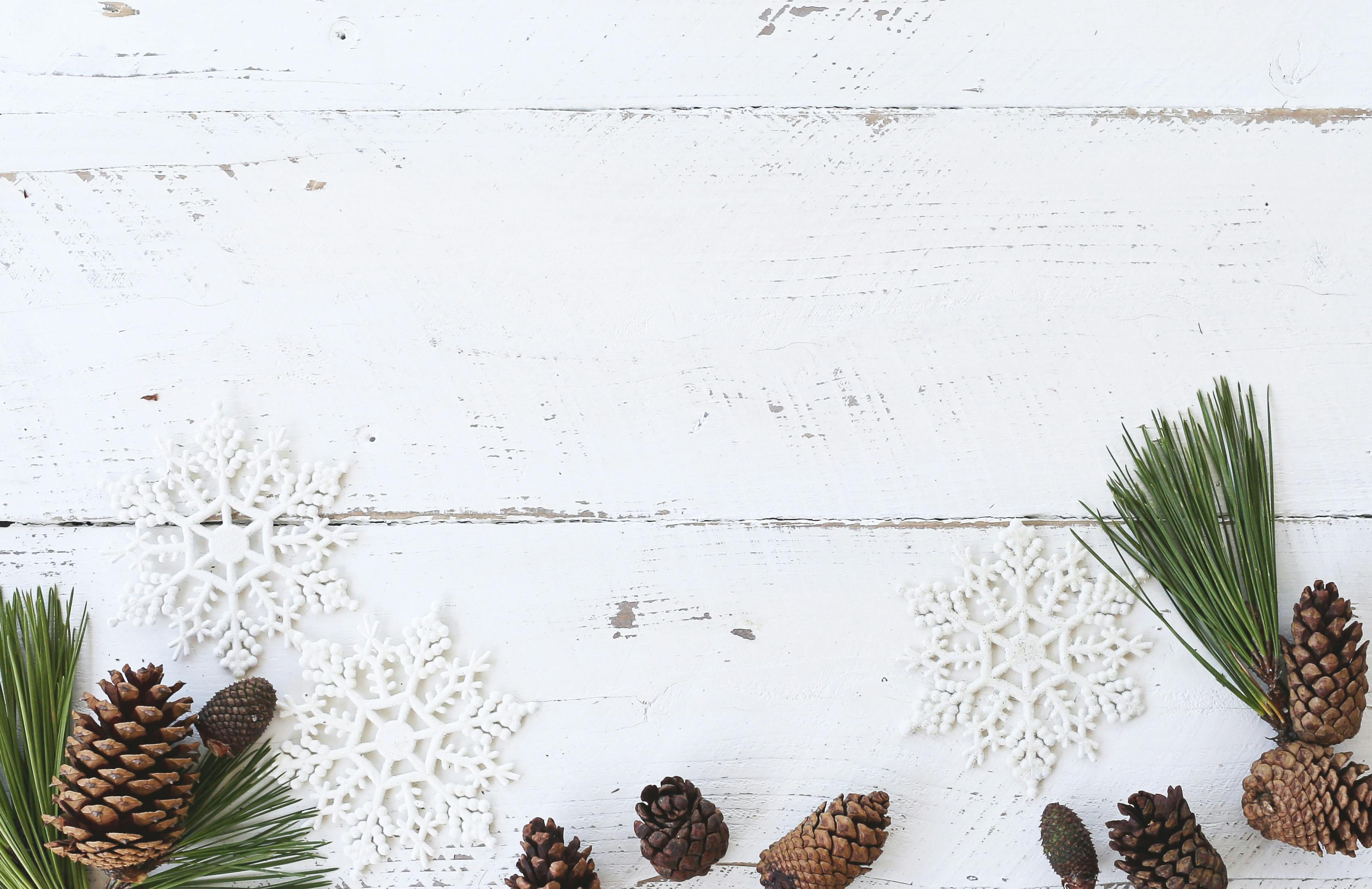 Festive winter blog header image